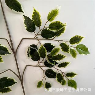 仿真榕树叶仿真尖嘴白边榕叶叉高仿人造假榕树叶植物墙绿化插花