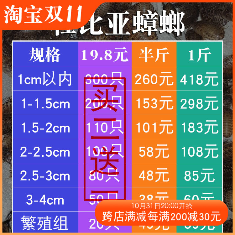 杜比亚蟑螂繁殖组幼体蜥蜴守宫乌龟龙鱼活饵饲料超樱桃蟋蟀