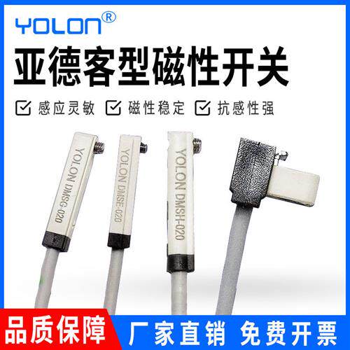 磁性开关感应器气缸讯号接近开关二线电DMSJ/DMSG/DMSE/DMSH-020