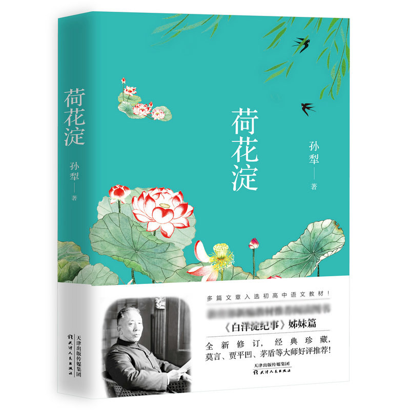 8元包邮】荷花淀派小说 孙犁作品代表作白洋淀纪事姊妹篇抗日题材革命