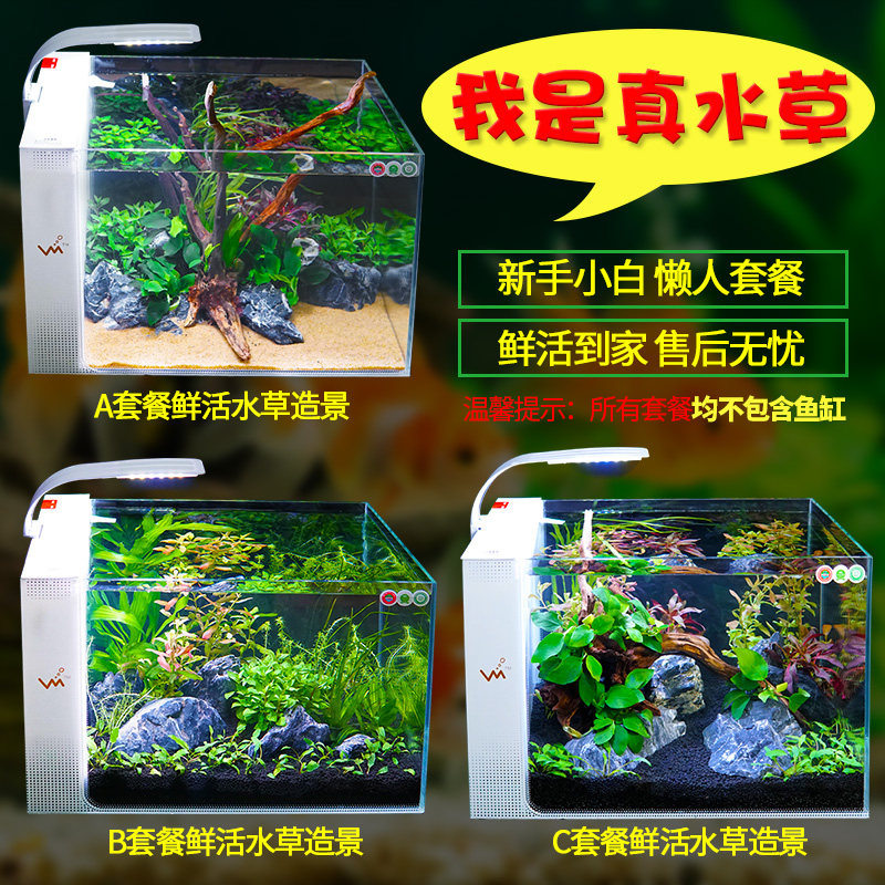 水草植物阴性草素材模板 水草植物阴性草图片下载 小麦优选