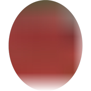 南天竹盆栽红天竺大花树苗水培火焰老桩盆景结果植物果叶植物耐寒