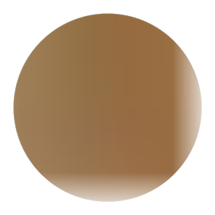 大型巨龙竹竹子苗楠竹苗竹笋苗巨龙竹竹苗毛竹苗竹鞭庭院户外种植