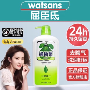 香港碌柚叶好运沐浴露持久留香柚子叶绿油叶气正品广东洗浴液