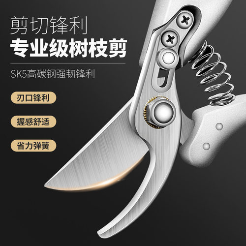 果树修枝剪刀园艺家用强力