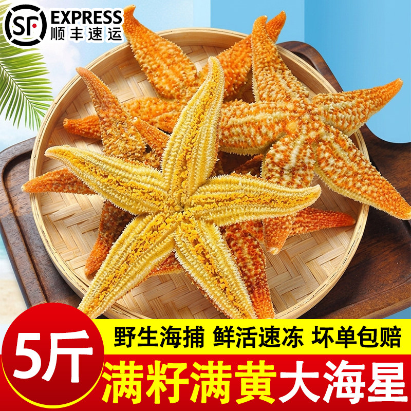 海星鲜活冷冻派大星新鲜熟冻速冻海星满籽海鲜野生食用五角星5斤