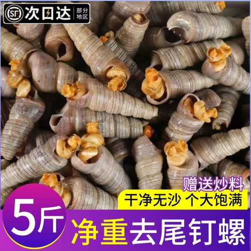 钉螺鲜活去尾新鲜海螺大号锥螺丝捞汁小海鲜麻辣贝类商用顺丰包邮