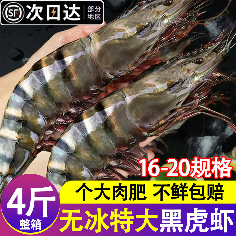 黑虎虾鲜活冷冻特大新鲜超大速冻海虾九节虾老虎虾类海鲜水产批发