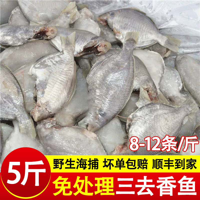 5斤三去香鱼新鲜冷冻肉鲳鱼海捕船冻香鱼批发商用海鲜水产批发