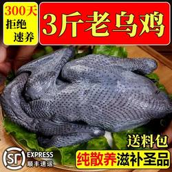 乌鸡新鲜现杀两只农家散养乌骨鸡白羽乌鸡净散养土山鸡白毛乌骨鸡