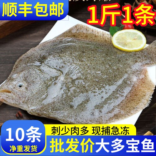 多宝鱼鲜活冷冻比目鱼