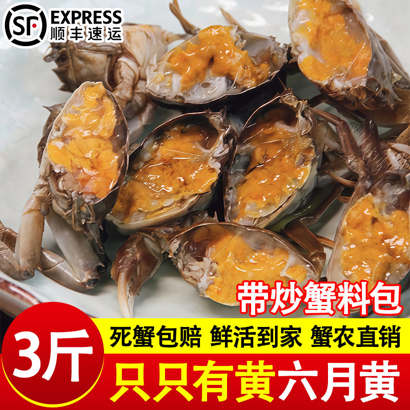 六月黄盘锦河蟹小闸蟹稻田蟹小螃蟹公母蟹鲜活大闸蟹活蟹商用批发