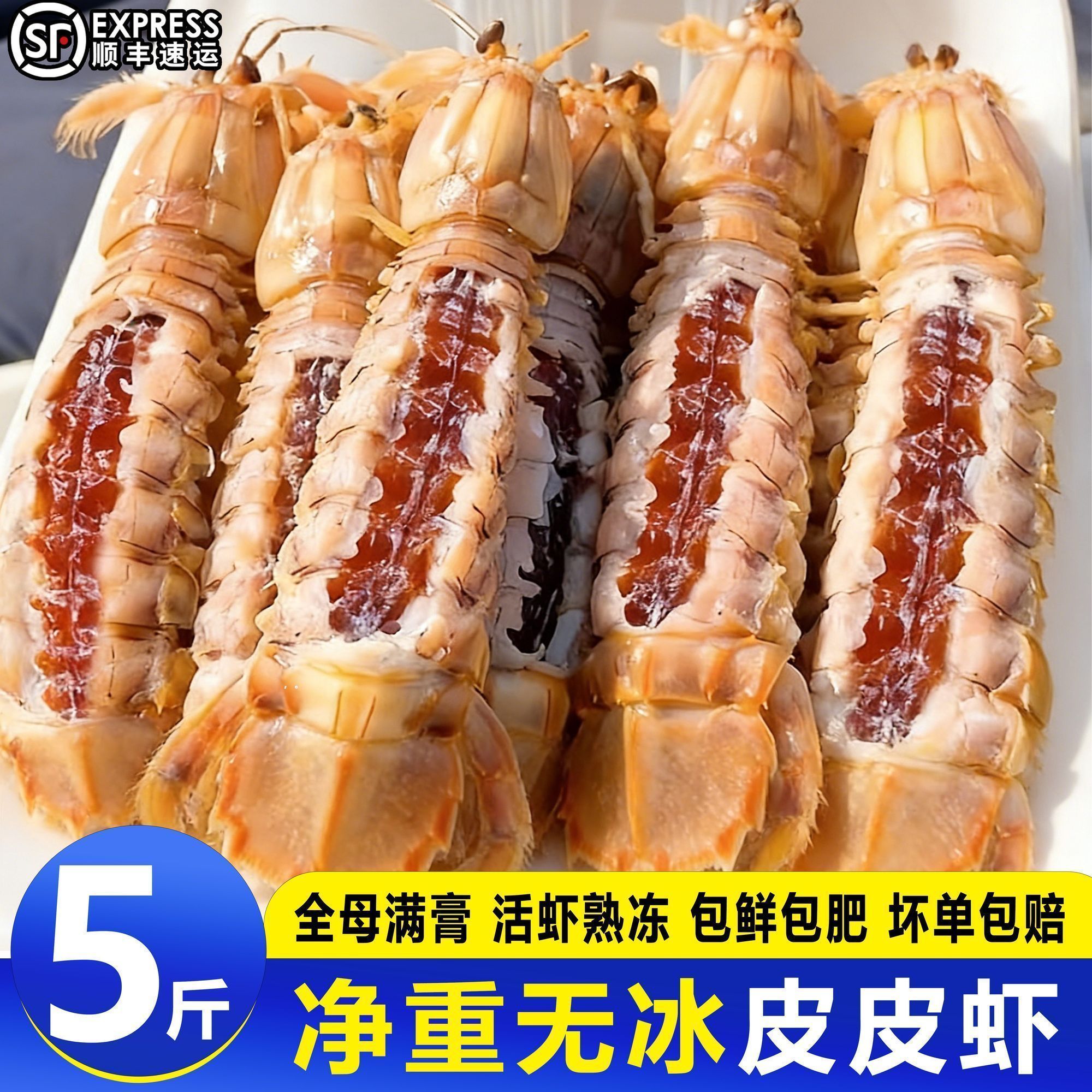 全母皮皮虾鲜活超特大冷冻带膏濑尿虾带籽琵琶虾爬子海鲜水产椒盐