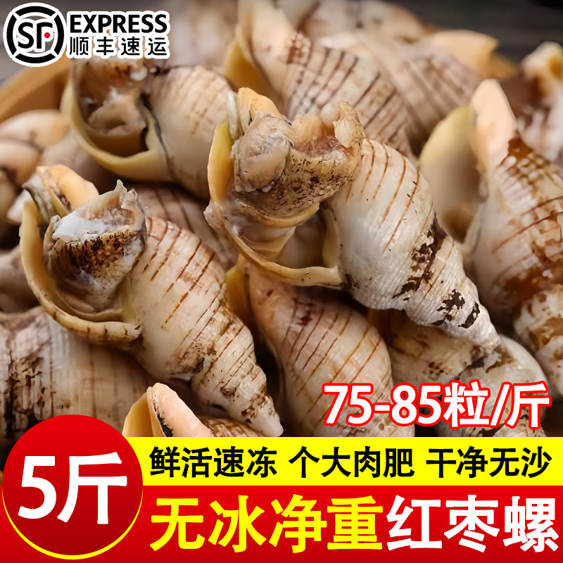 贝贝螺白玉螺小海螺鲜活速冻螺类海瓜子红枣螺海鲜水产批发香辣螺