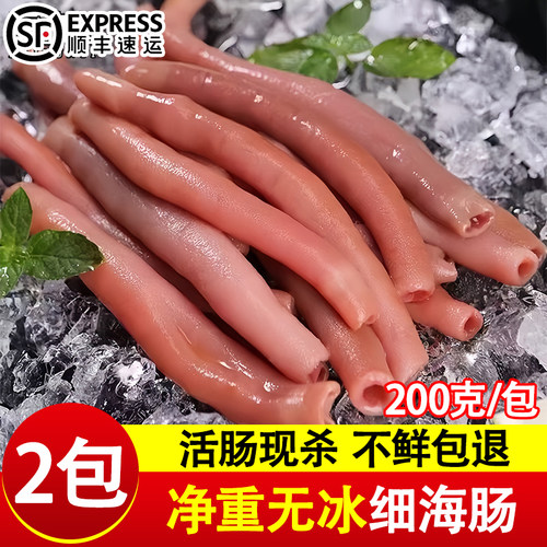 新鲜海肠鲜活冷冻海肠子急冻海肠皮沙虫海鲜水产宽海肠三去200克