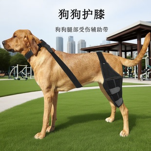 狗狗护膝髌骨脱位固定器术后康复带老年犬肌无力行走后退辅助带