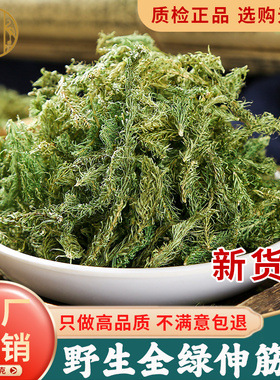 伸筋草中药材500克正品旗舰店野生小伸筋草中药透骨草白芥子泡脚