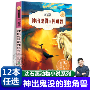 神出鬼没的独角兽沈石溪动物小说全集珍藏版正版小学生课外阅读书籍儿童文学经典获奖读物三四五六年级必读的课外书目动物小说大王
