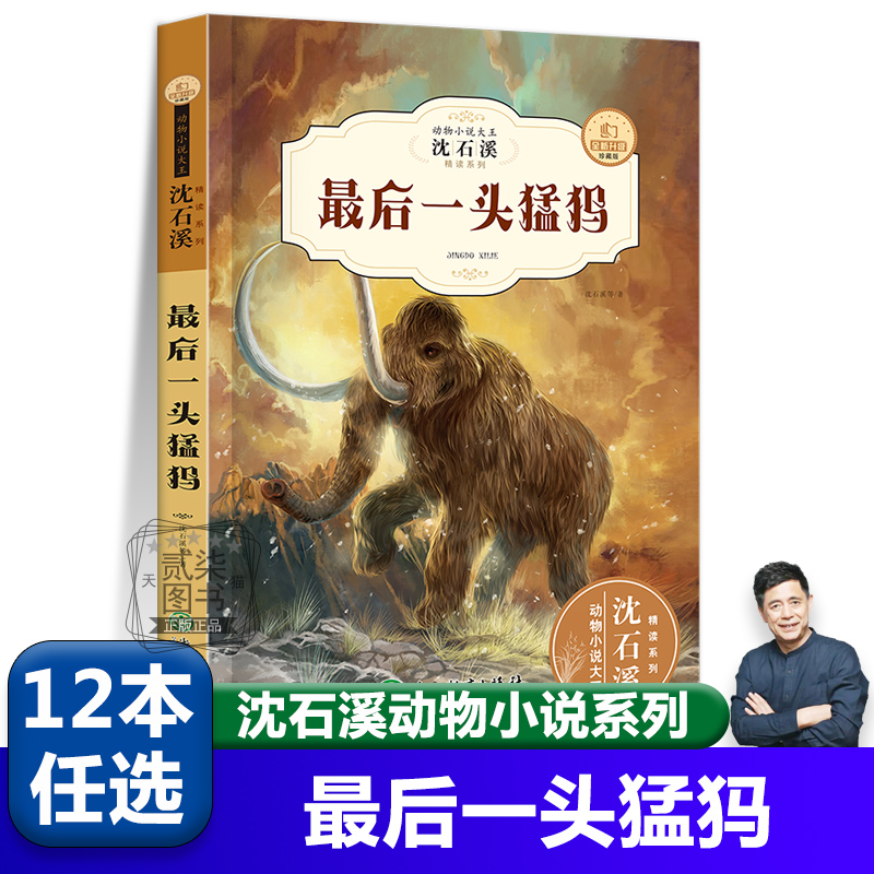 最后一头猛犸 沈石溪动物小说全集珍藏版正版小学生课外阅读书籍儿童文学经典获奖读物三四五六年级必读的课外书目动物小说大王
