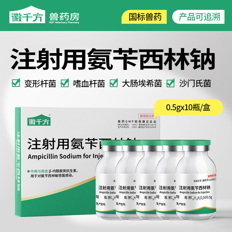 强安林氨苄西林钠注射兽用粉针剂氨苄青霉素猪牛羊鸡拉稀正品兽药图片