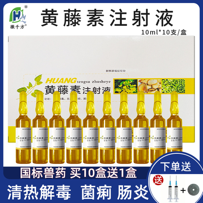 兽用黄藤素注射液猪牛羊肠炎兽药