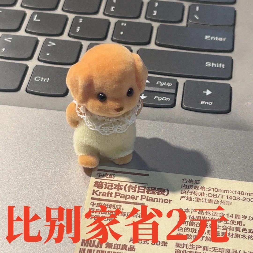 森贝儿贵宾犬小鼻嘎小狗