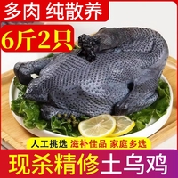 正宗烏骨雞燉湯順豐包郵