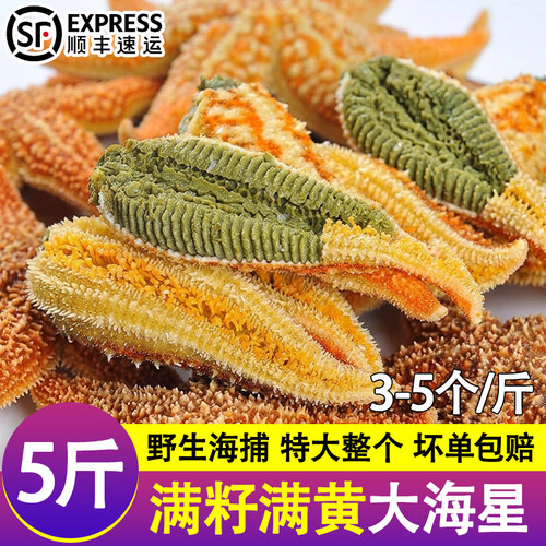海星鲜活冷冻派大星新鲜熟冻速冻海星满籽海鲜野生食用五角星5斤