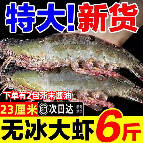 真2030盐冻虾！不虚标！