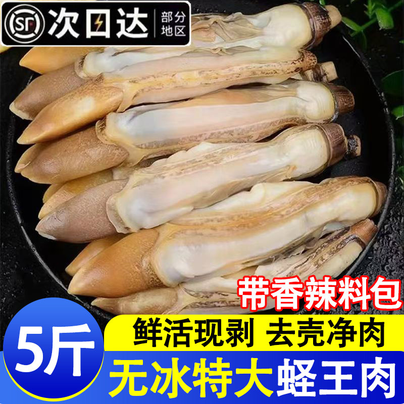 蛏王肉大个冷冻蛏子肉海鲜水产鲜活圣王肉去壳速冻竹蛏肉贝类批发
