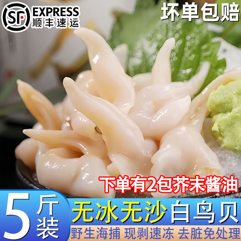 去脏白鸟贝新鲜大号鸟贝肉新鲜鲜活野生三去无沙去壳去沙鸟贝肉