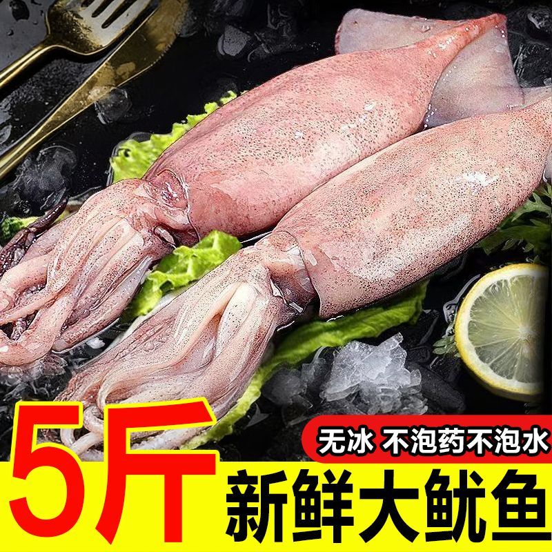 超大新鲜鱿鱼生鲜整只铁板烧烤专用食材商用冷冻批发火箭尤鱼须串