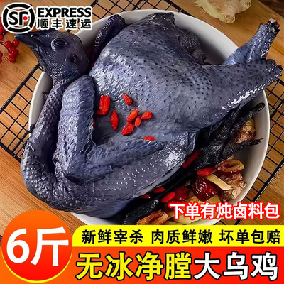 正宗乌骨鸡炖汤顺丰包邮
