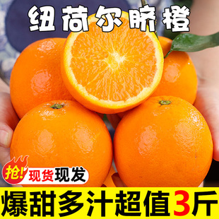 70mm 正宗脐橙纽荷尔大果新鲜水果橙子3斤单果65