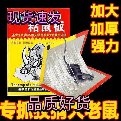 30张|大老鼠贴超强力粘鼠板专业捕鼠神器捉沾胶抓灭鼠家用一锅端