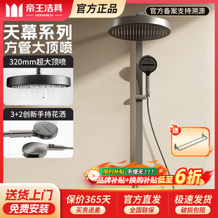 帝王洁具淋浴花洒套装家用卫浴沐浴室极简喷头淋雨浴水龙头卫生间