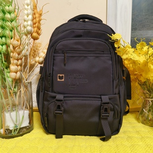 林峰书包新款大容量双肩包韩版百搭潮酷ins男学生旅行背包LF-1956