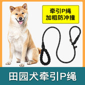 中华田园犬土狗专用牵引绳防爆冲P链遛狗防挣脱大小型犬拴狗绳