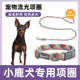 小鹿犬专用项圈牵引绳宠物遛狗狗绳大型中型小型犬狗链子颈套脖圈