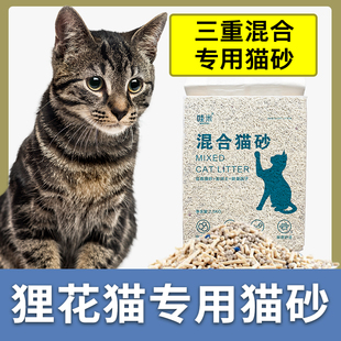狸花猫专用猫砂低尘豆腐砂混合猫砂膨润土砂易结团猫咪用品 包邮