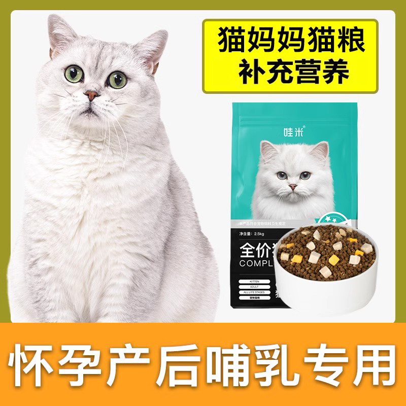 哺乳期猫粮布偶猫蓝猫母猫