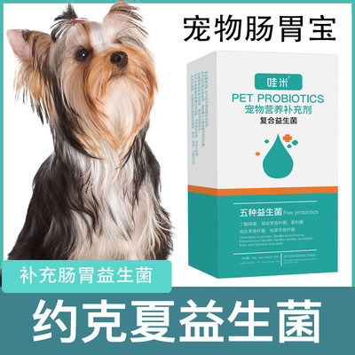 约克夏益生菌粉宠物犬用小宝消化