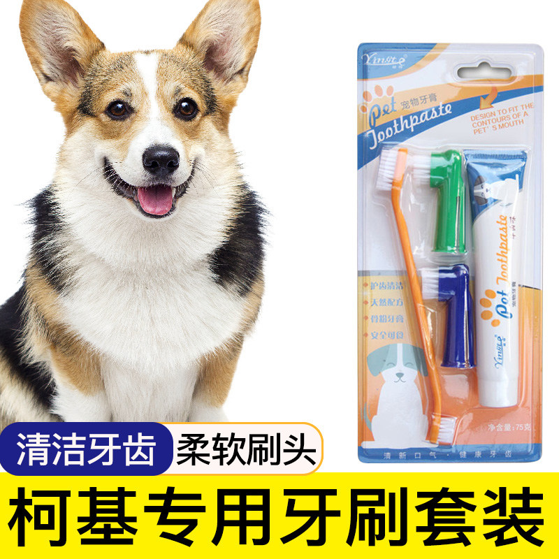 柯基专用狗狗牙刷宠物牙膏套装刷牙清洁用品口腔牙用具指套