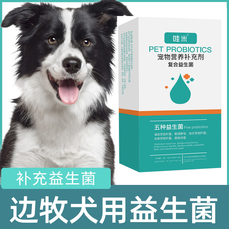 边牧犬用益生菌粉宠物犬用狗狗小幼犬成犬活性菌肠道消化宝,宠物/宠物食品及用品,狗益生菌,淘宝优惠券,粉丝福利购,淘宝优惠卷