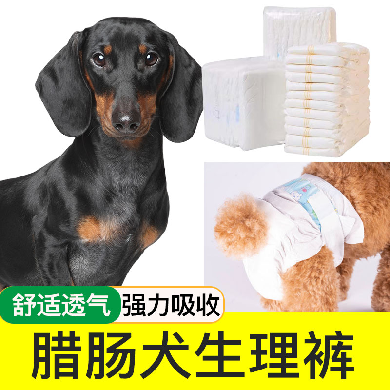 腊肠犬生理纸尿裤月经母狗