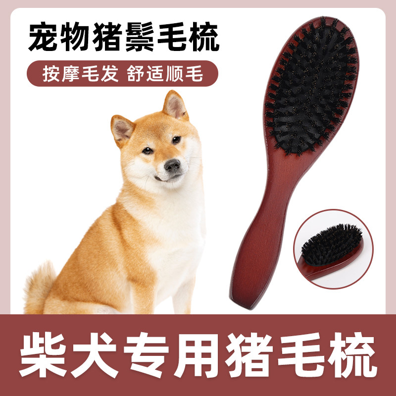 柴犬专用猪鬃梳猪鬃毛刷梳子去浮毛祛毛脱毛开结刷毛狗毛清理器