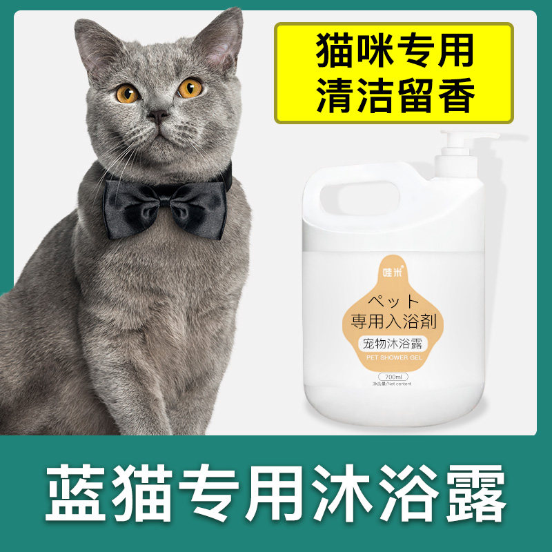 蓝猫专用沐浴露柔顺宠物洗澡大桶香波浴液成幼猫洗护清洁留香
