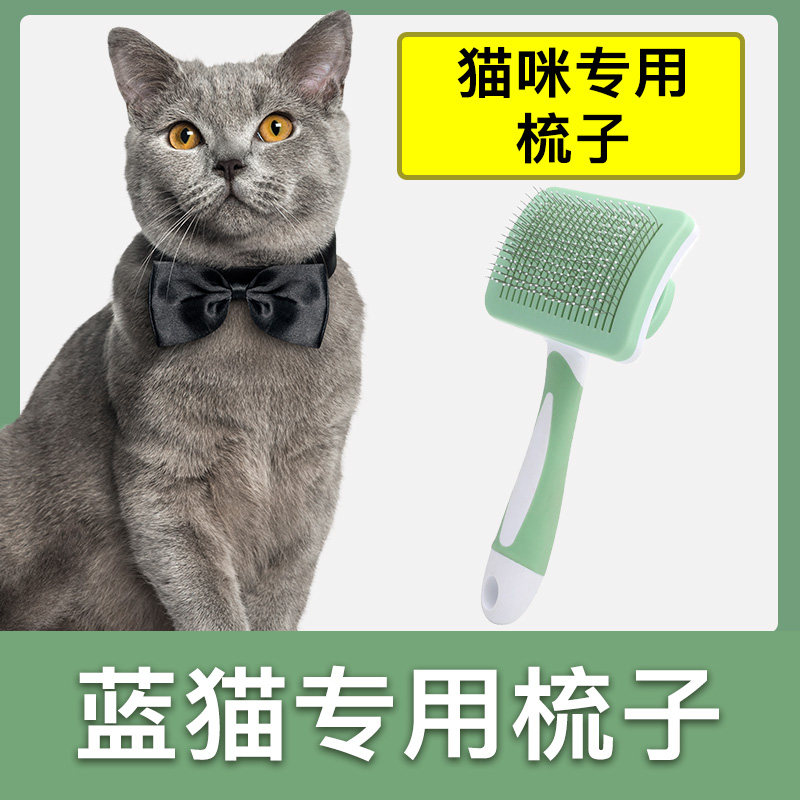 蓝猫专用梳子拉毛针梳猫咪毛梳子毛刷大小猫毛清理器宠物用品