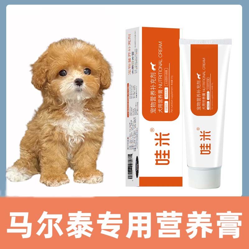 马尔泰专用营养膏狗狗补充剂宠物成犬幼犬老年犬补充营养维生素,宠物/宠物食品及用品,狗营养膏,淘宝优惠券,粉丝福利购,淘宝优惠卷