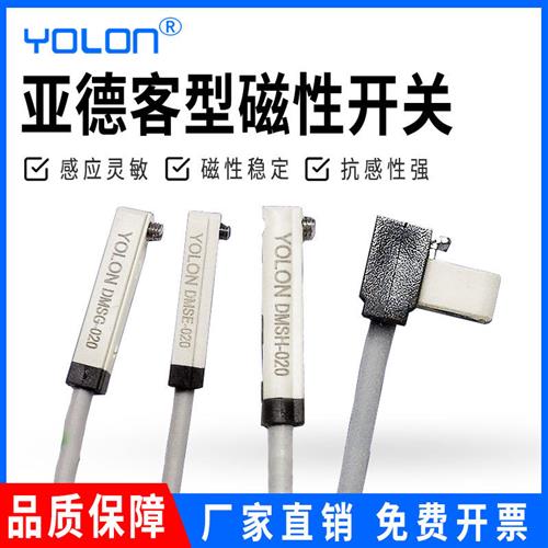 磁性开关感应器气缸信号接近开关二线电DMSJ/DMSG/DMSE/DMSH-020